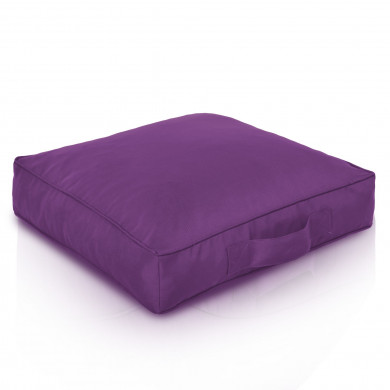 Violet perna de scuan exterior