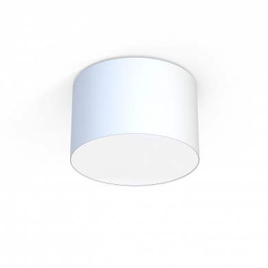 Lumină albă pentru tavan CAMERON WHITE 45 cm 9684