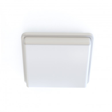 TAHOE II lampă de tavan/perete pentru baie cu senzor de mișcare 25 cm 2xE27 | alb 10040