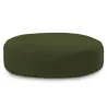 Verde închis