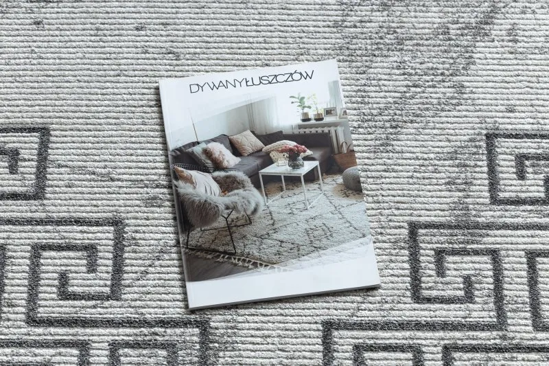 Dywan NOBLE nowoczesny 1517 65 Ramka, grecki, marmur - Strukturalny, dwa poziomy runa krem / szary