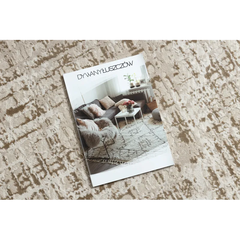 Covor DUKE 51550 bej, un accent modern pentru orice cameră