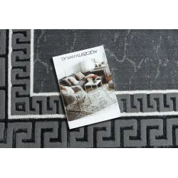Covor ALLURE 1960 elegant, gri, design modern pentru orice interior