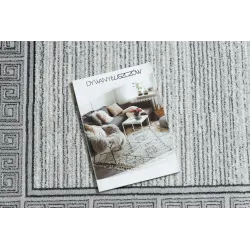 Culoare elegantă gri deschis, ideal pentru decorarea modernă a casei