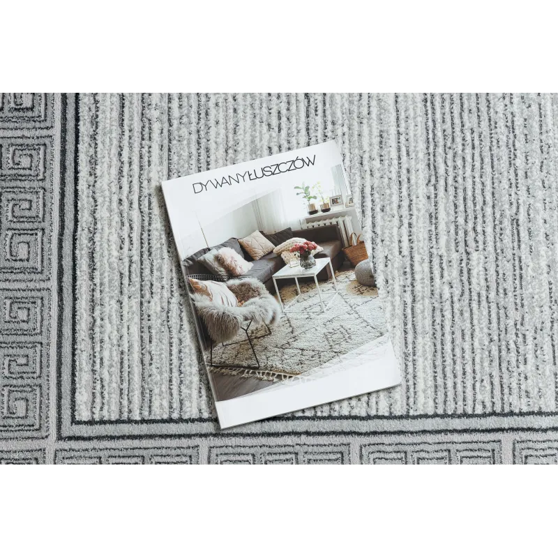 Culoare elegantă gri deschis, ideal pentru decorarea modernă a casei