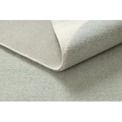 Covor FLUX 461.10 elegant, perfect pentru un living modern sau dormitor