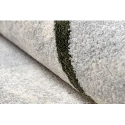 Covor ALLURE 9980 pentru dormitor, elegant bej și verde, modern