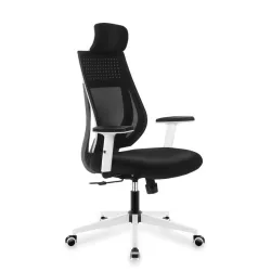 Manager 3.9 Negru Scaun de Birou Ergonomic