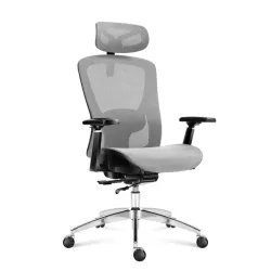 Expert 5.3 Gri Mesh Scaun Gaming Ergonomic
