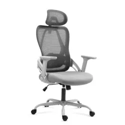 Scaun de birou ergonomic Manager 2.9 Gri