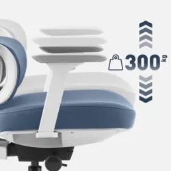 Visioner 6.1 Gri Scaun de birou cu masaj 13